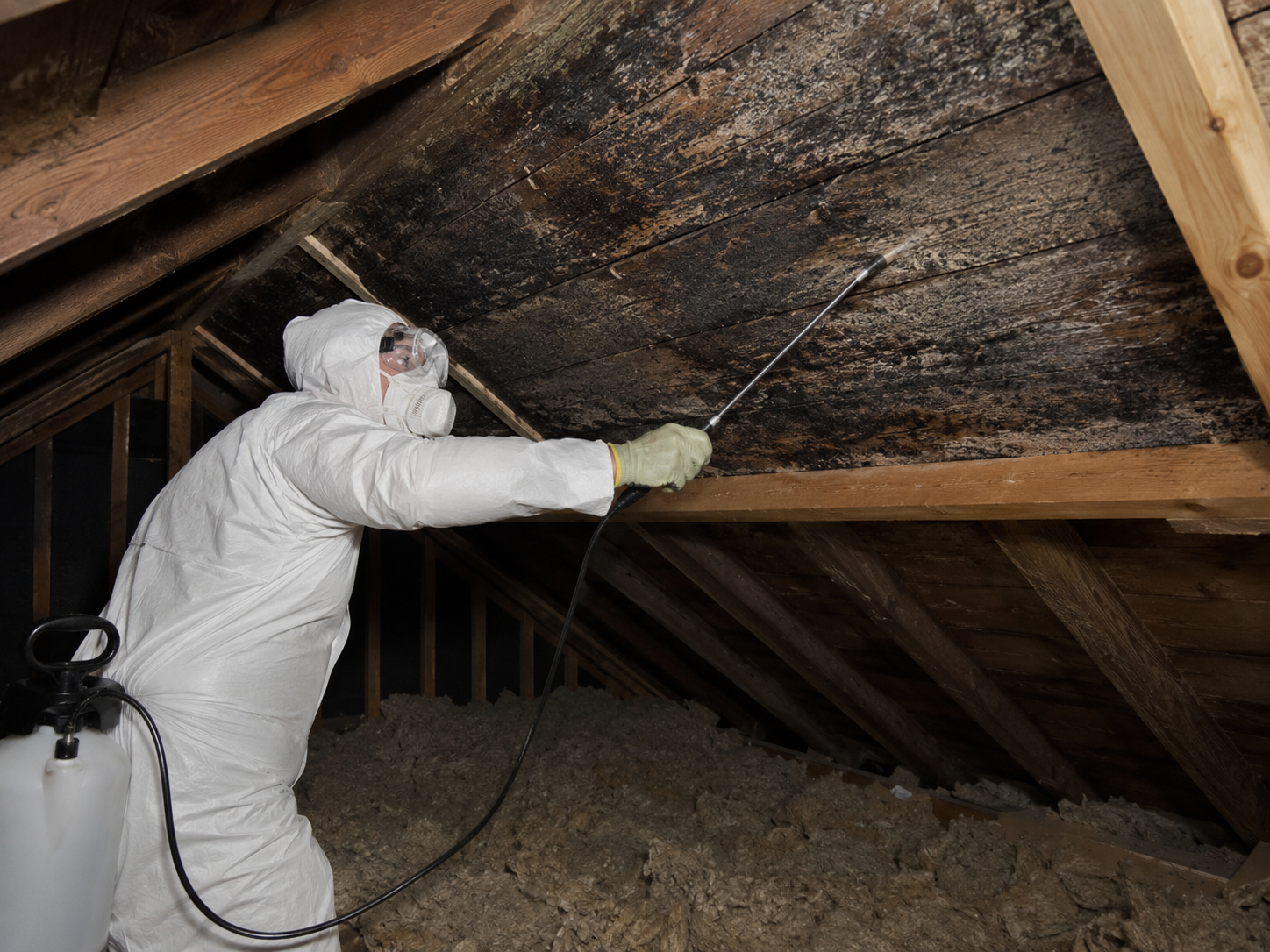 Mould Treatment work in Nottingham